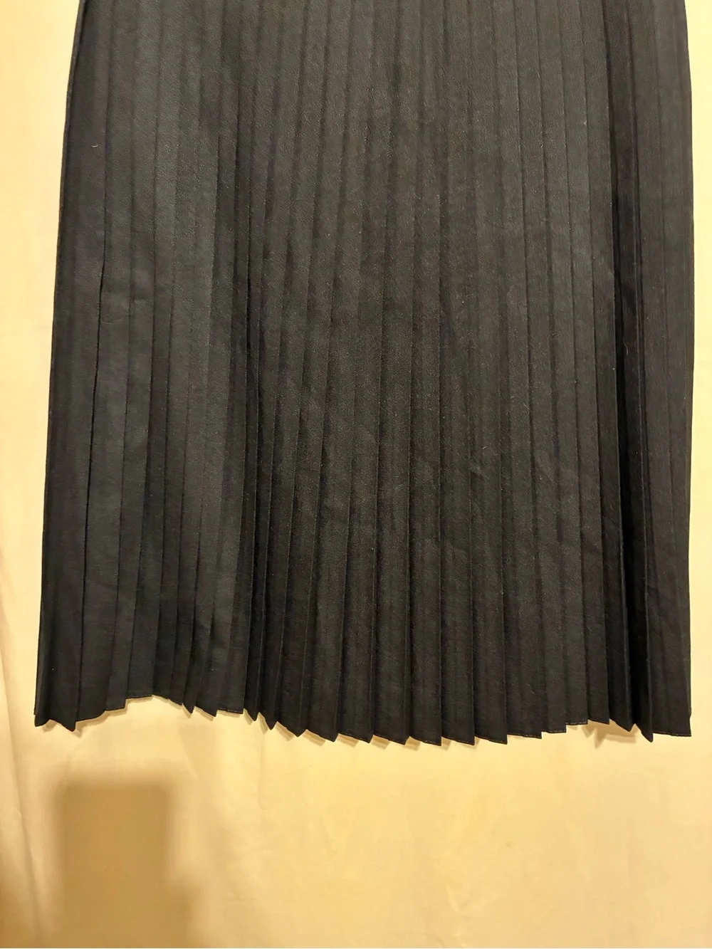 Celeste Collection Pleated Maxi Skirt